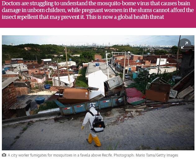 On the frontline in Brazil The Guardian